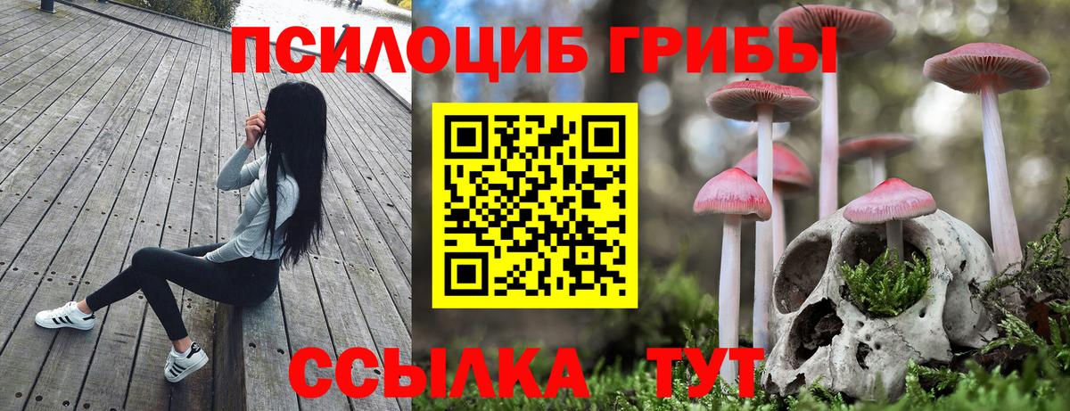 Псилоцибиновые грибы Psilocybe  Вход с VPN  Шали  Псилоцибиновые грибы Magic Shrooms 